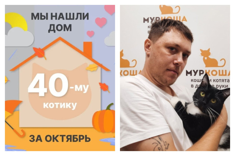 Котик Грут рад познакомить со своим хозяином!