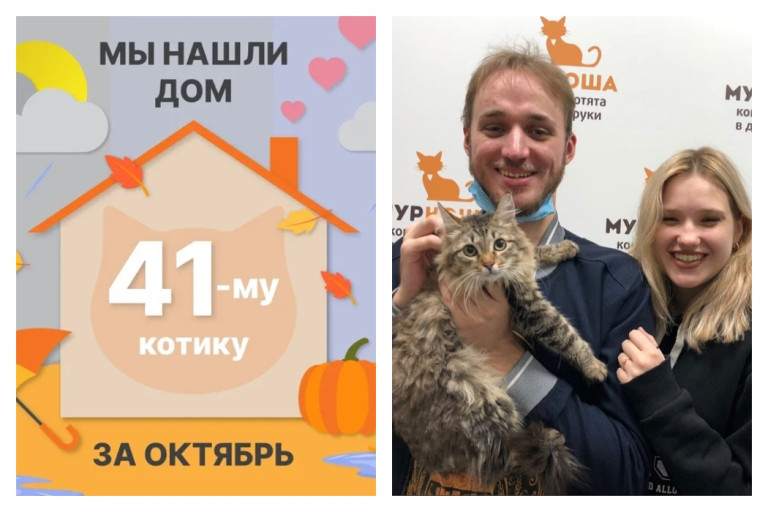 Котик Додж встретил прекрасных хозяев!