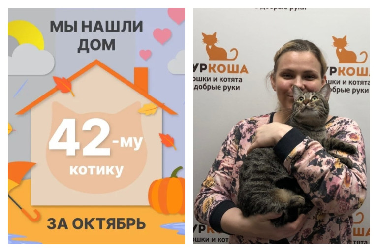 Котик Рутгер стал частью большой и пушистой семьи!