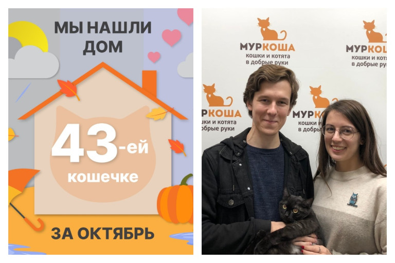 Кошечка Зишка встретила надежных хозяев!