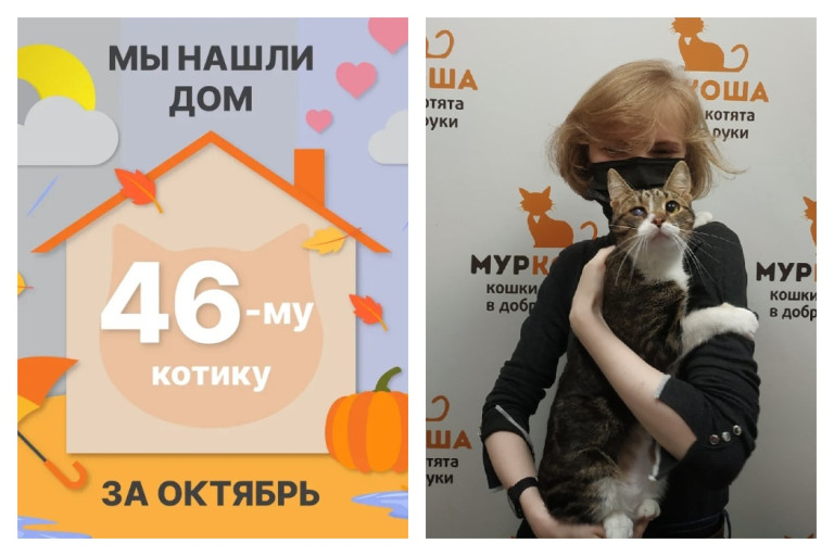 Малыш-Латыш едет домой!