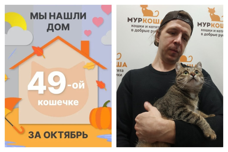 Кошечка Малинка начинает сладкую домашнюю жизнь!