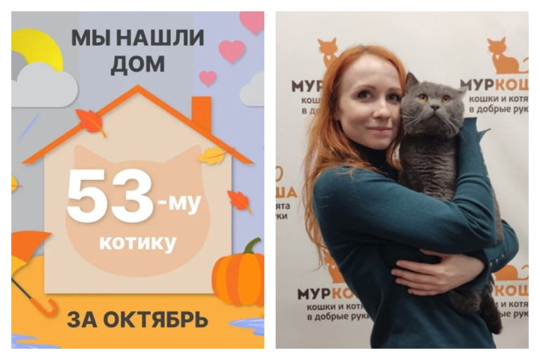 Кот Хосяш встретил замечательную хозяйку!
