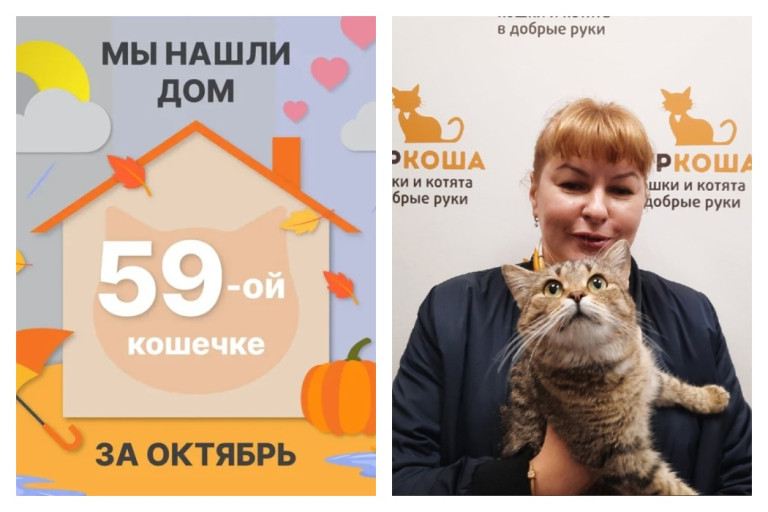Кошечка Кохана отправилась домой спустя три недели!