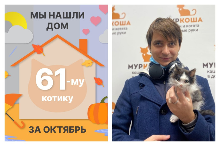 Котёнок Кокосик начинает домашнюю жизнь!