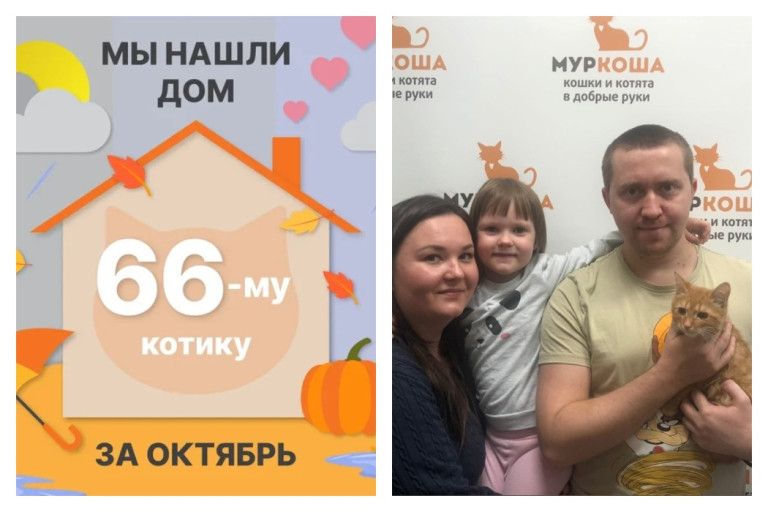 Котик Камамбер стал домашним спустя два месяца!