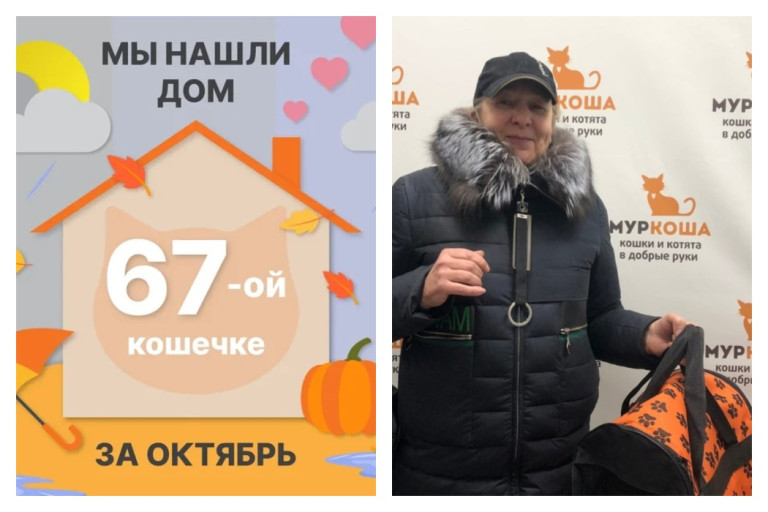 Кошечка Кука начинает домашнюю жизнь!