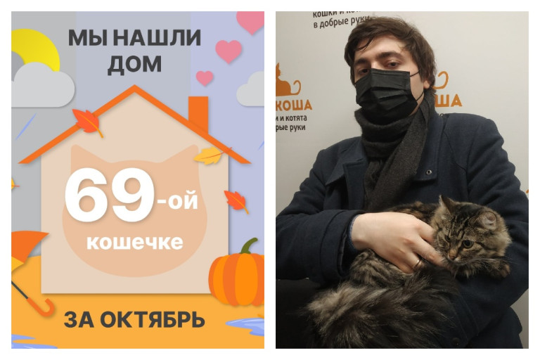 Кошечка Мензурка стала домашней любимицей!