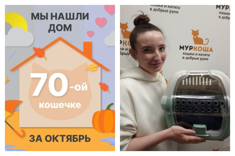У кошечки Лидушки появилась ответственная хозяйка!
