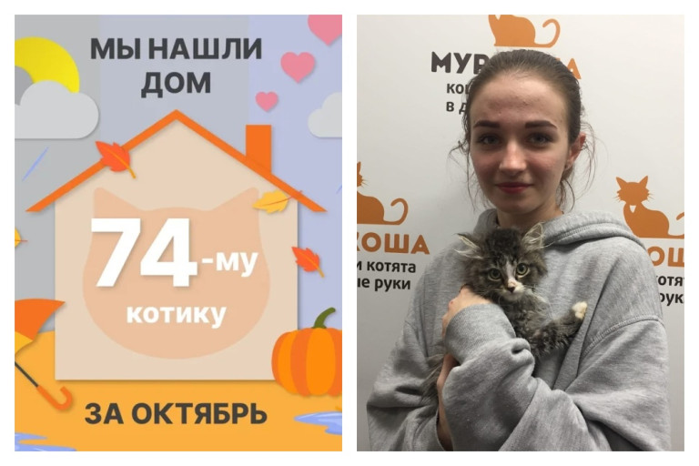 Котик Мяуринью стал домашним за полтора месяца!