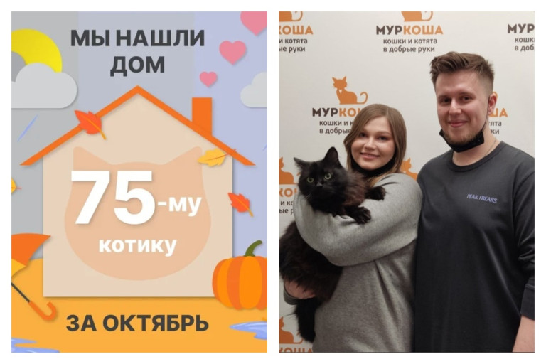 Пятилетний кот Гризли встретил заботливых хозяев!