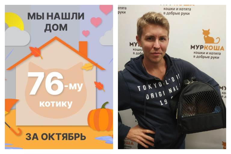 Котик Олоф стал домашним и счастливым!