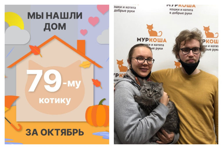 Котик Харлей начинает новую жизнь!