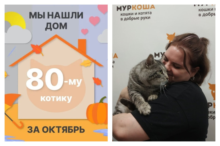 Котик Эраклион встретил прекрасную хозяйку за две недели!