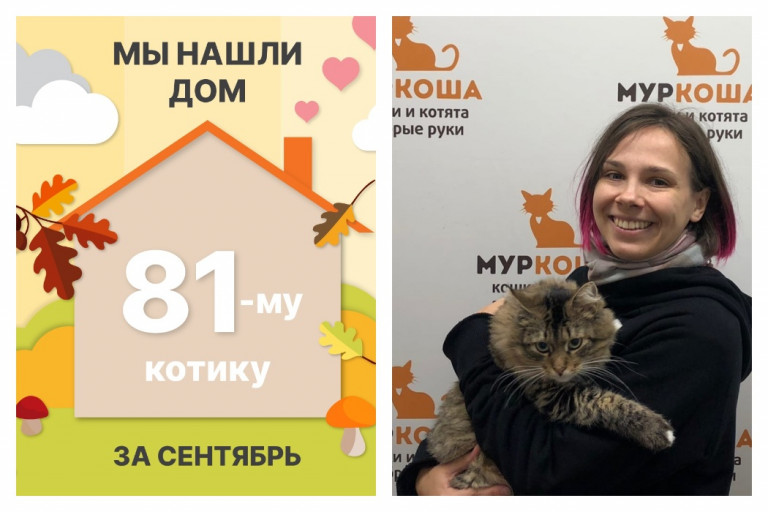 Котик Демид стал домашним любимцем!
