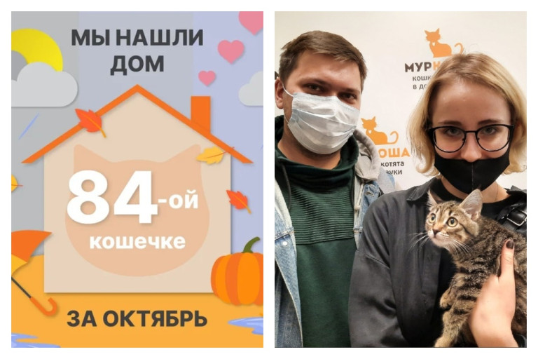 Кошечка Шаурма отправилась домой!