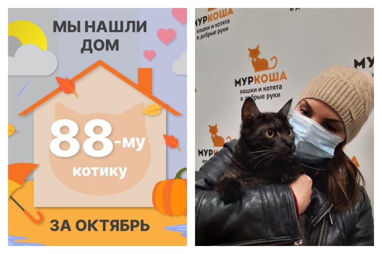 Котик Магеллан начинает новую жизнь!