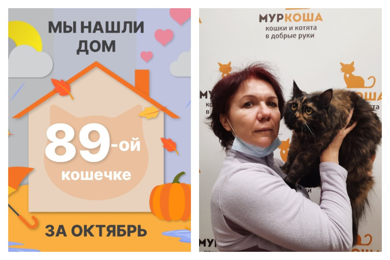 Кошечка Халапенья отправляется в новый дом!