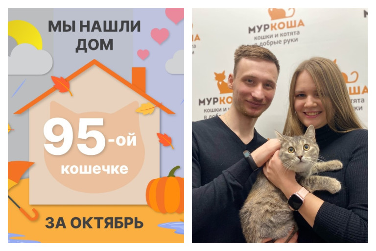 Нежная Фридуля стала домашней любимицей!