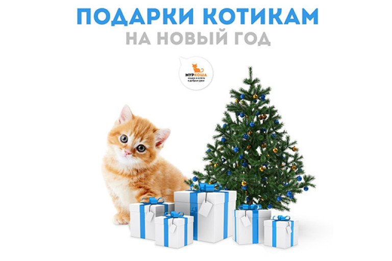 Новый год - время чудес, которые может совершить каждый 