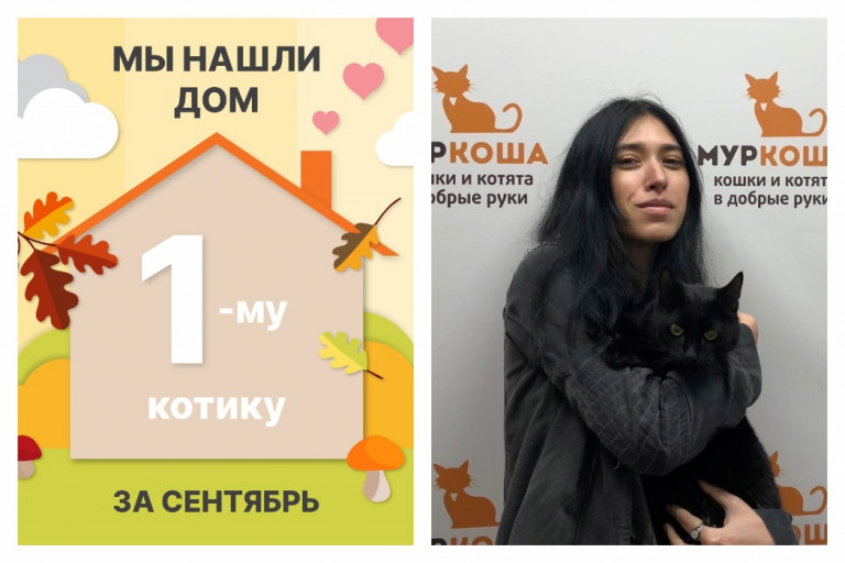 Котик Сау нашел дом за один месяц!