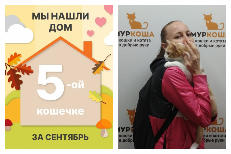Двухлетняя красавица Катрина едет домой!