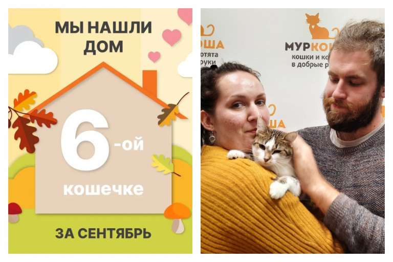 Мы нашли дом малышке Клэри!