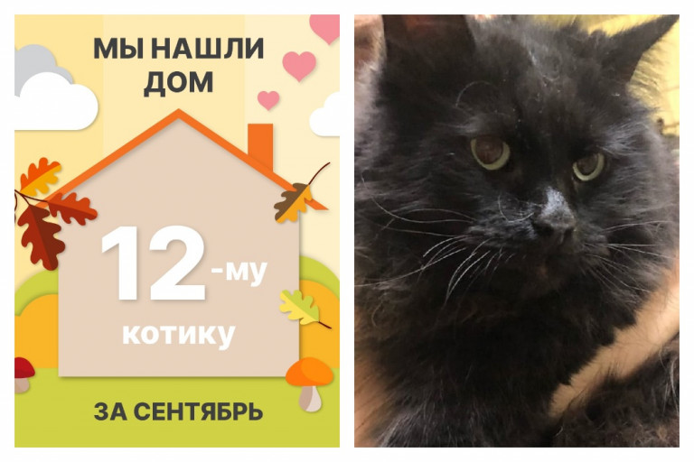 Котик Баррель начинает домашнюю жизнь!