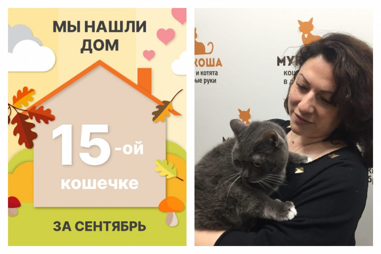 Кошечка Фиса встретила надежную хозяйку!