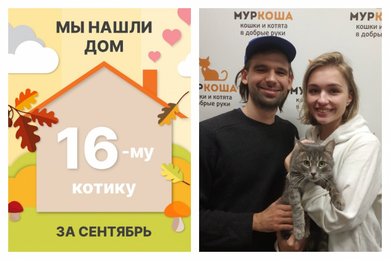 Котик Фасолькин стал домашним любимчиком!
