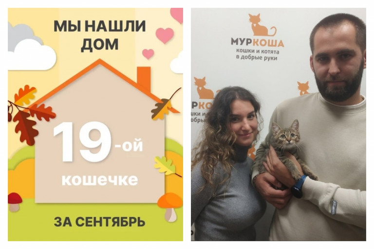 Кошечка Кимчи стала домашней всего за два месяца!