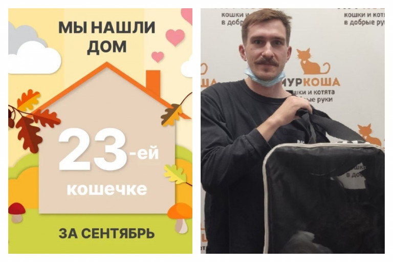 У кошечки Шкоды появился заботливый хозяин!
