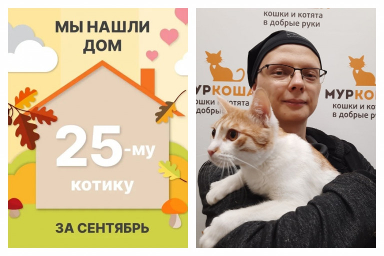 Котик Минор стал домашним и любимым!