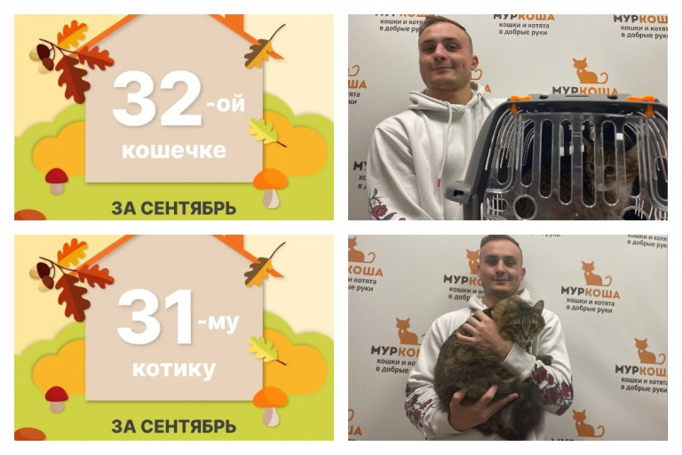 Котик Симыч и кошечка Тапиока начинают домашнюю жизнь вместе!