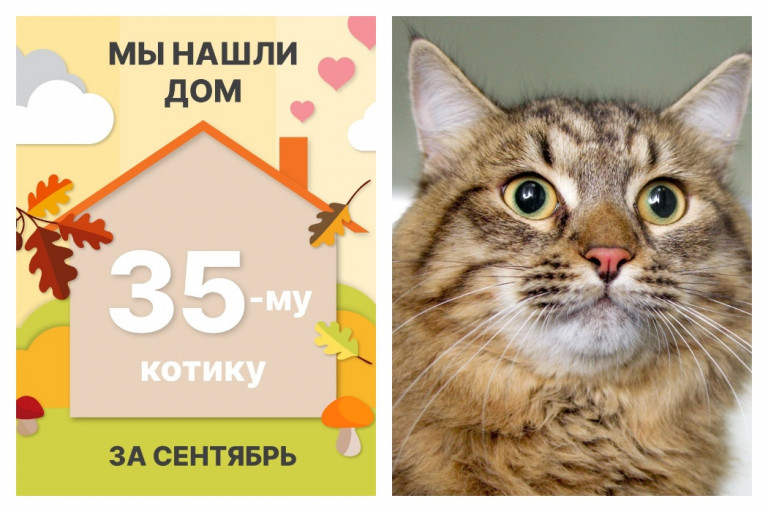 Двухлетний Санчоус стал домашним за месяц!