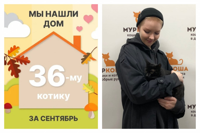 У котика Хумуса появилась заботливая хозяйка!