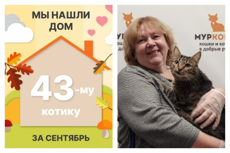 Котик Нанико встретил заботливую хозяйку!