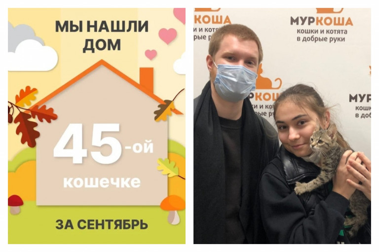 Кошечка Августа стала домашней и любимой!