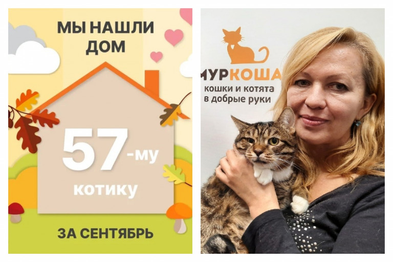 Котик Тризор стал домашним и любимым!