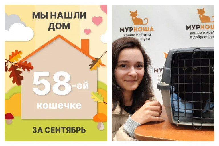 Кошечка Миссури начинает счастливую домашнюю жизнь!