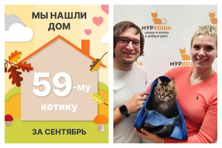 Двенадцатилетний Арнольд начинает жизнь с чистого листа!