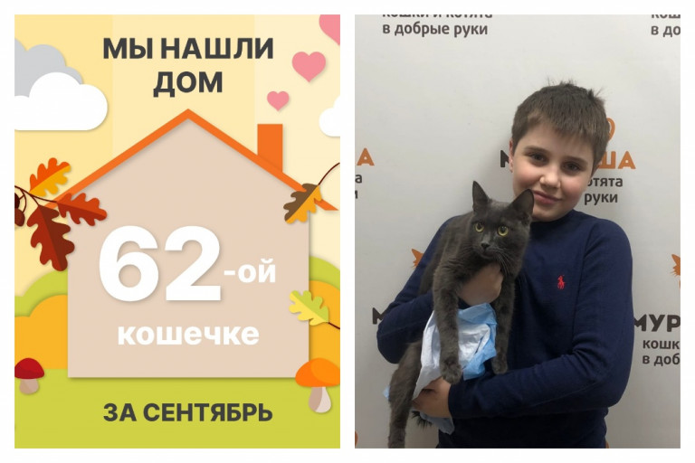 Кошечка Биссектриса нашла дом за два месяца!