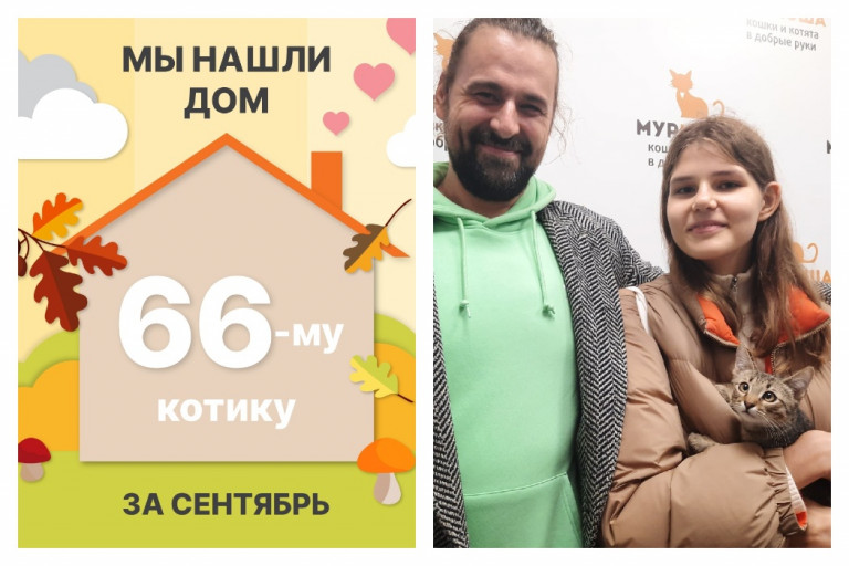 Туманчик нашел надежных хозяев за полтора месяца!