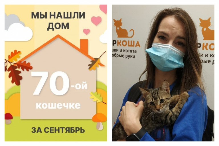 Кошечка Доминикана стала домашней за три недели!