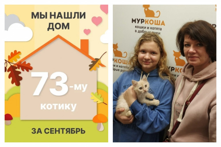 Котёнок Курсор отправился в новый дом!