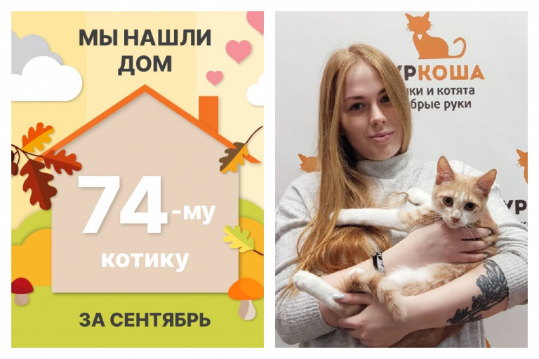 Котенок Майбах стал домашним за два месяца!