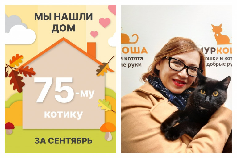 Котик Спенсер нашел новый дом за один месяц!