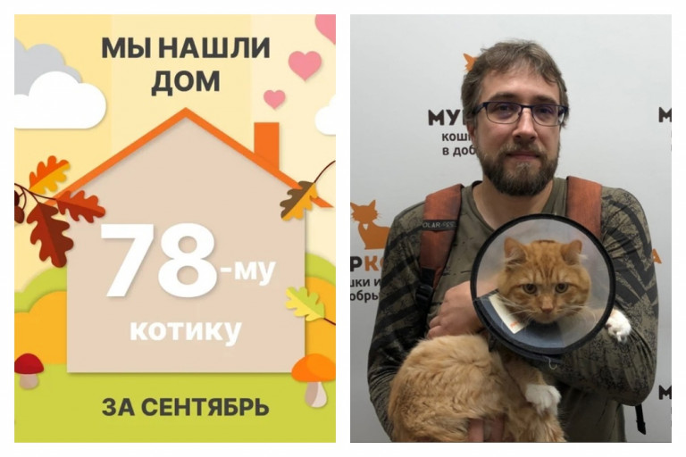 Котик Рэджинальд отправился домой!