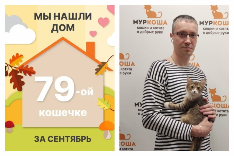 Кошечка Запеканка стала домашней любимицей!