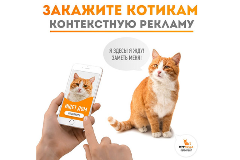 Закажи котикам контекстную рекламу